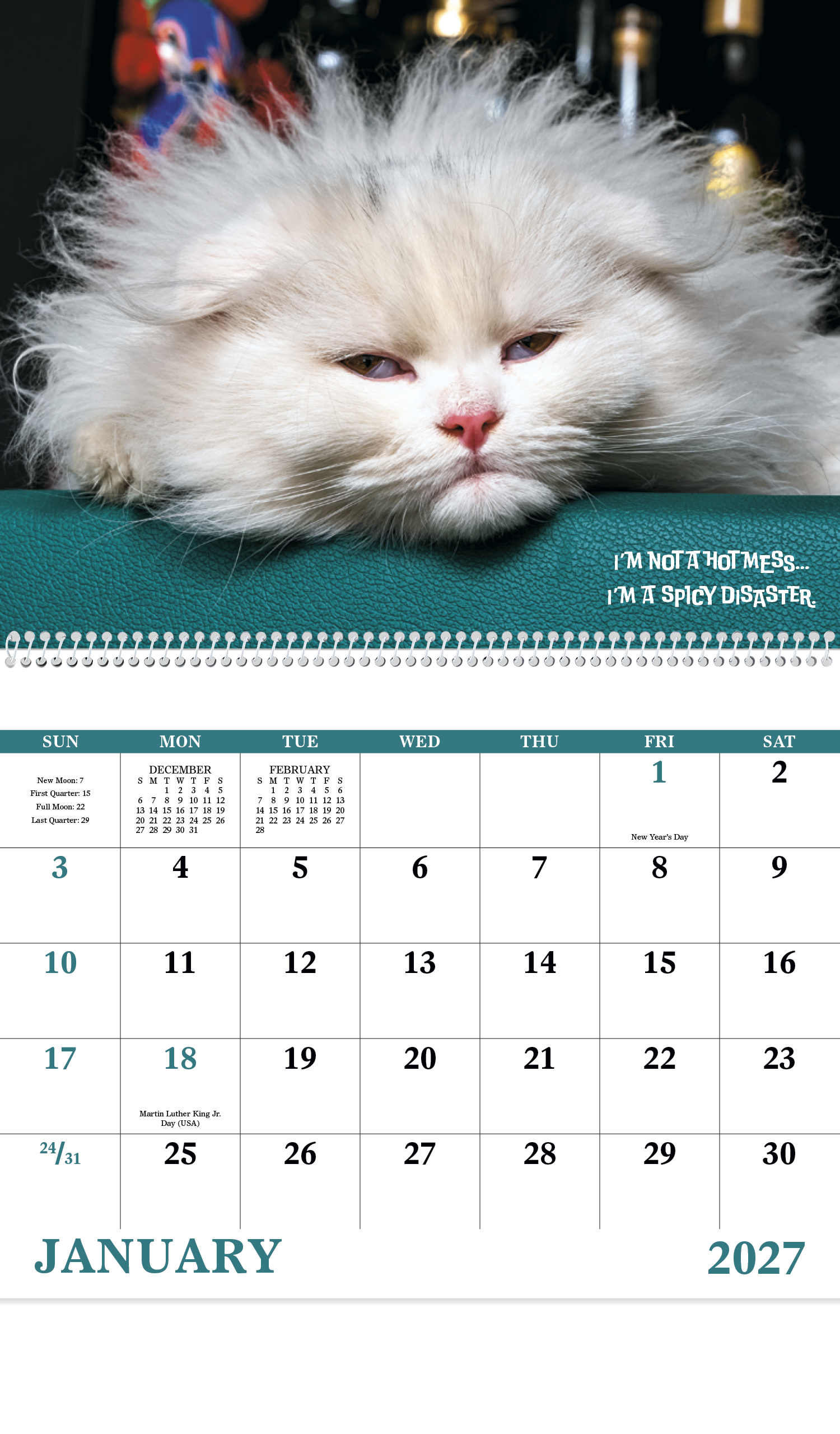Good Value™ Pets with Attitude - Spiral Calendar 25
