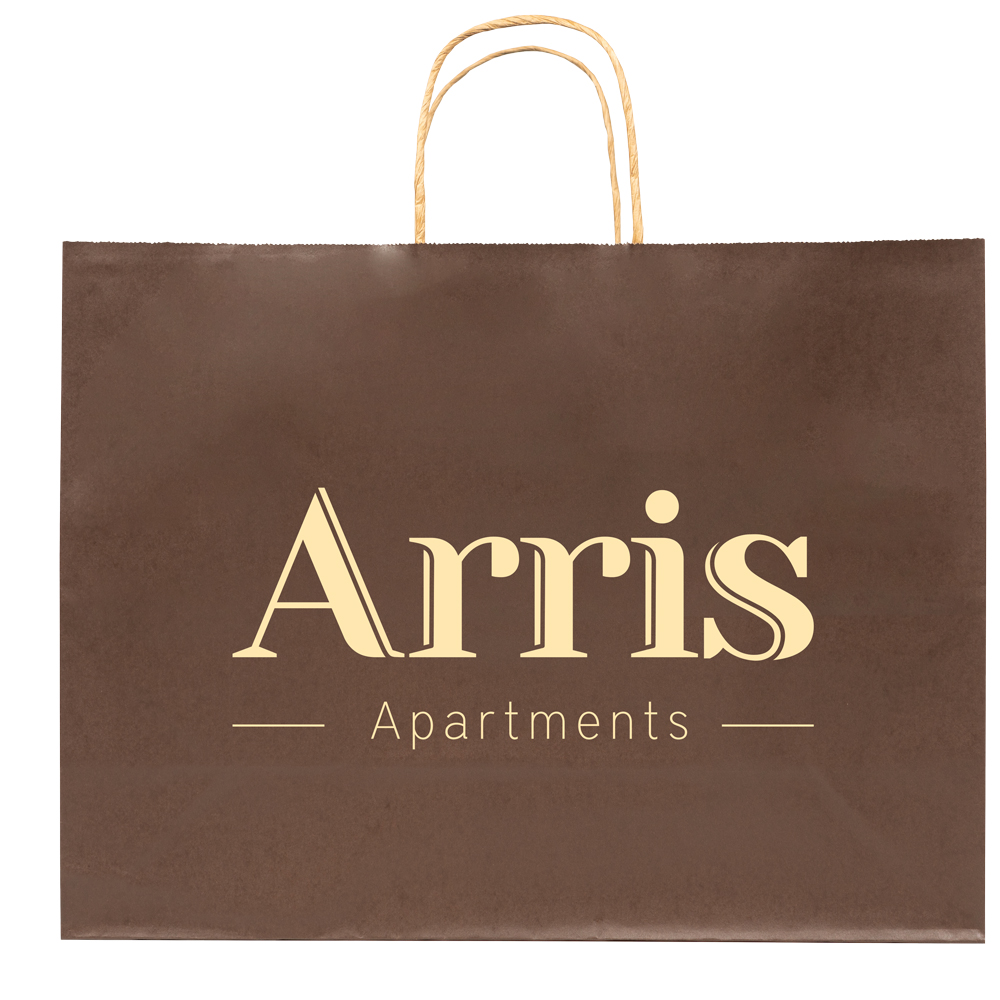 Solid Tinted Kraft Shopping Bags 3