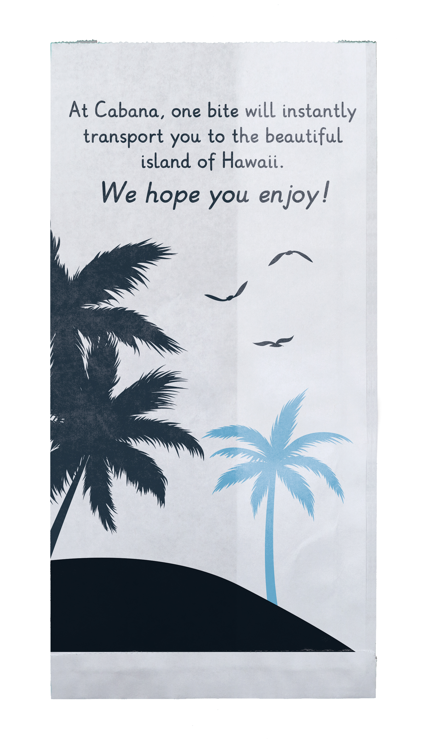 Multi-Sided Full Color Food Safe Merchant Paper Bags (5" x 10" x 2")