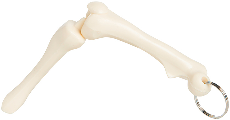 Knee Joint Keyring 3