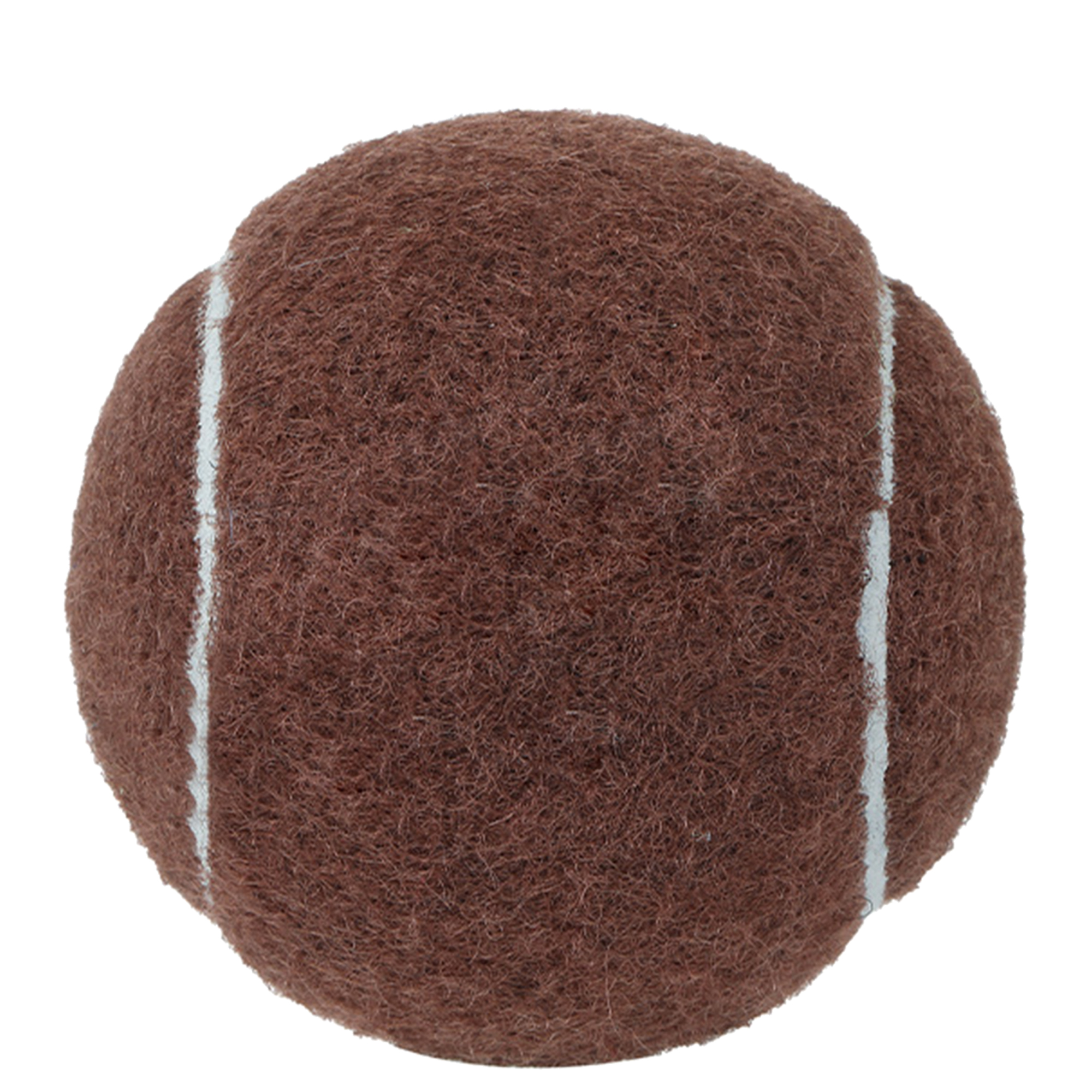 Customizable Dog Play Ball 2