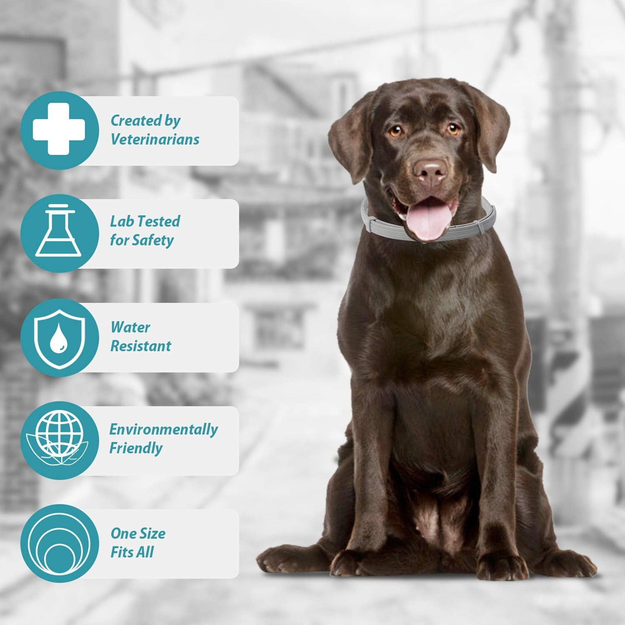 Flea And Tick Collar For Dogs Up To 8 Month 1
