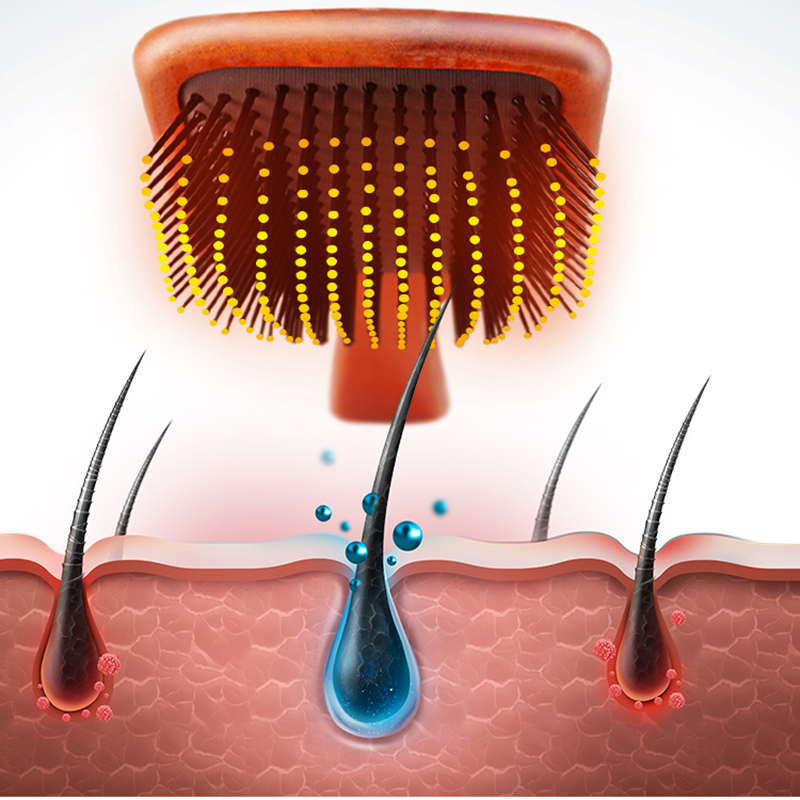 Beech Comfortable Air Cushion Comb 8