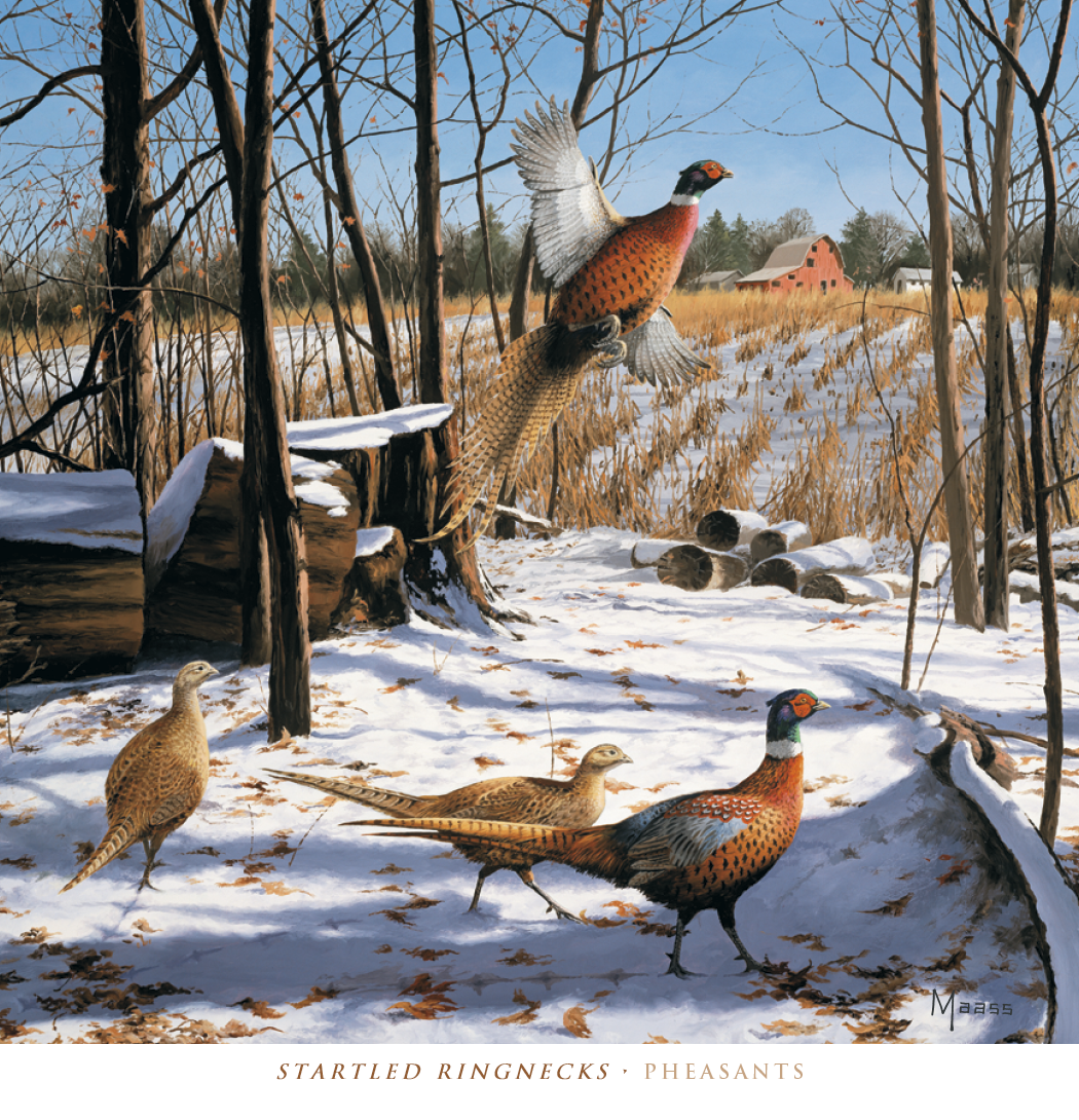 HotLine® Products David Maass Executive Calendar 20