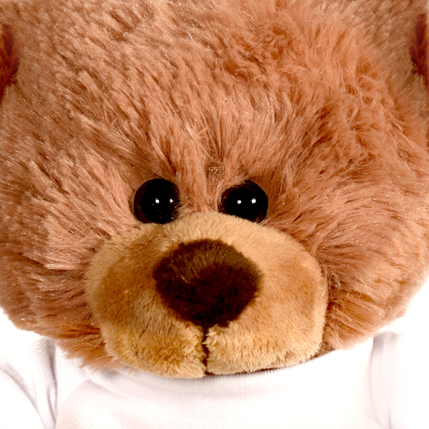 Plush Bear w/ Embroidered Paws and T-Shirt 14