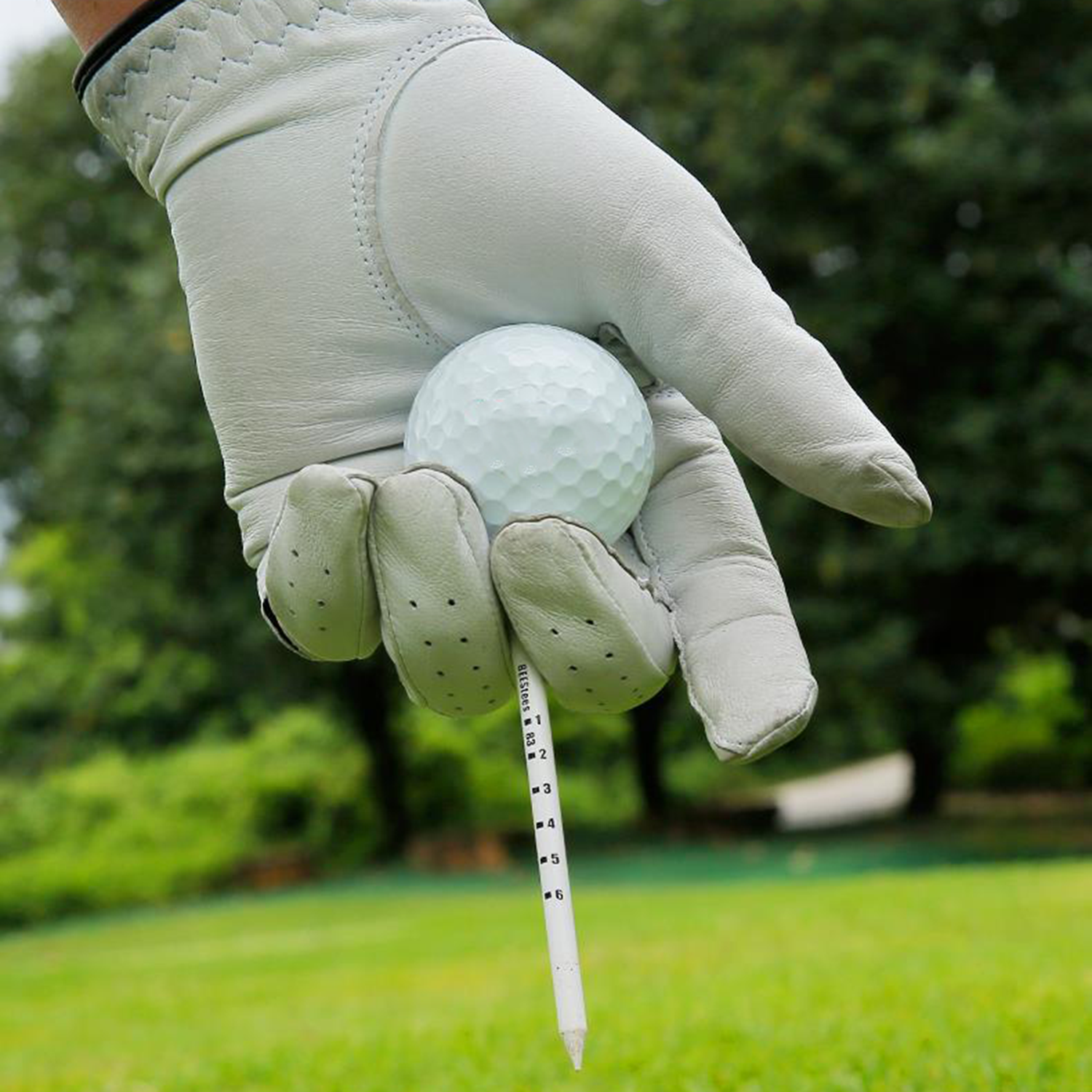 Less Friction Golf Tees 5