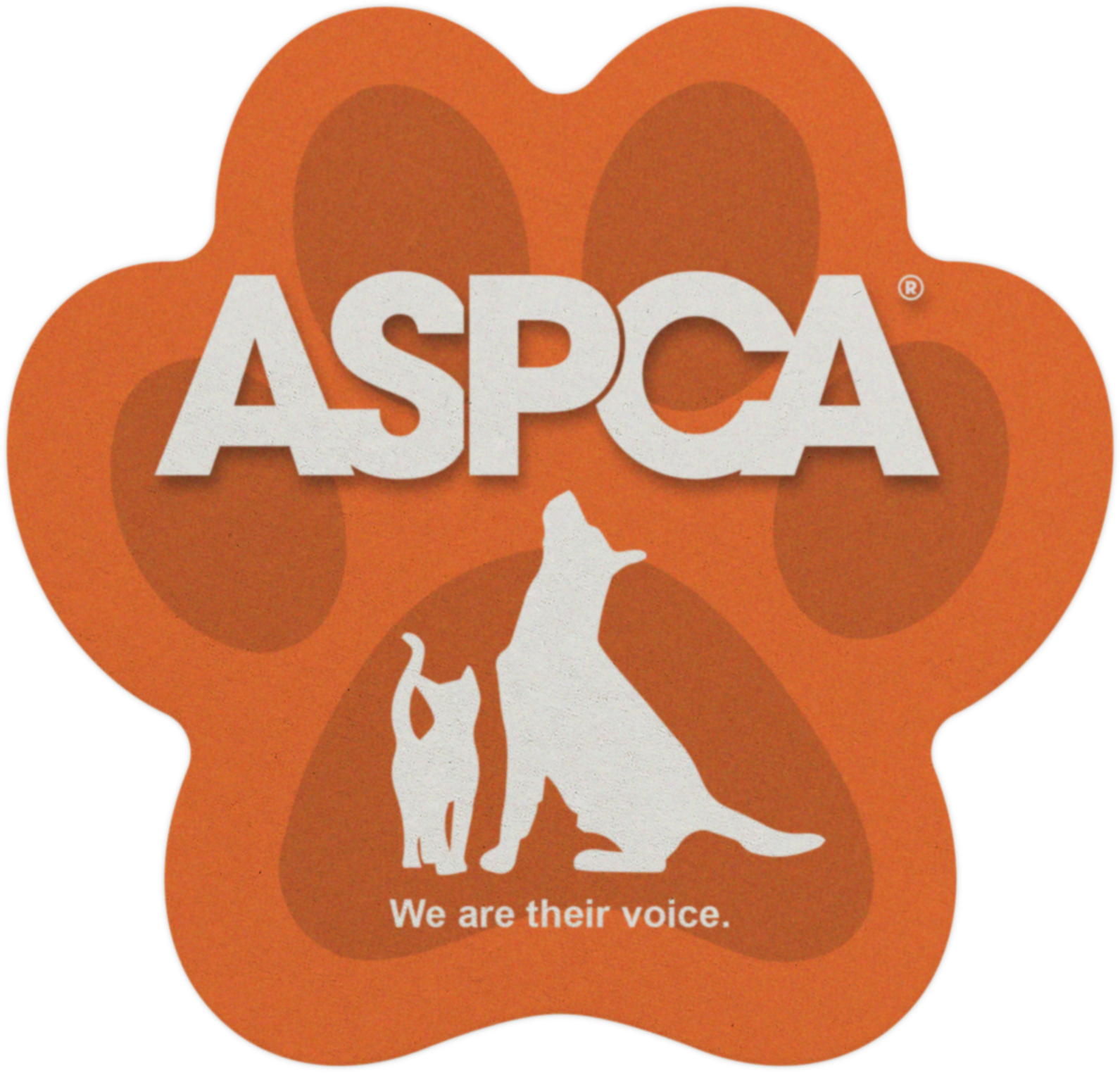 55 pt Stock Shape Pulpboard Coaster 204