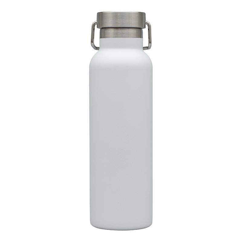 Splendid 22 oz. Double Wall Stainless Steel Bottle 42