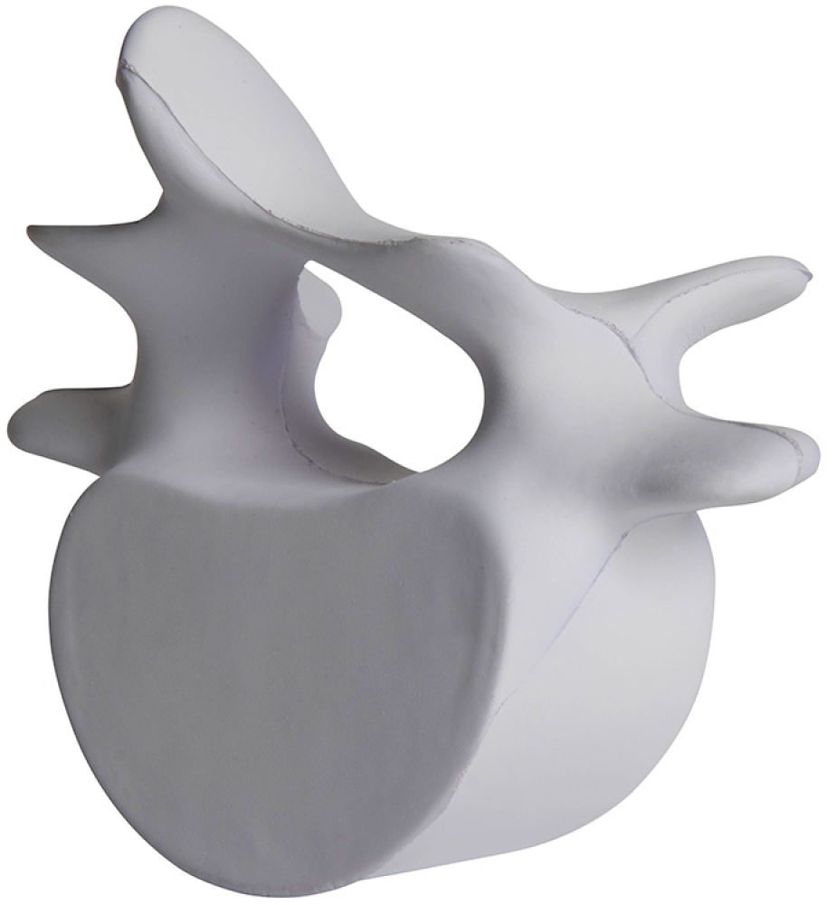 Vertebrae Stress Reliever 1