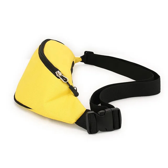 Fanny Pack Bag 5