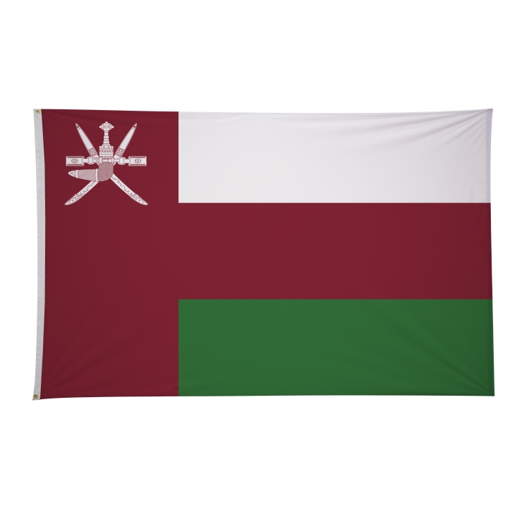 5' x 8' International Flags 273