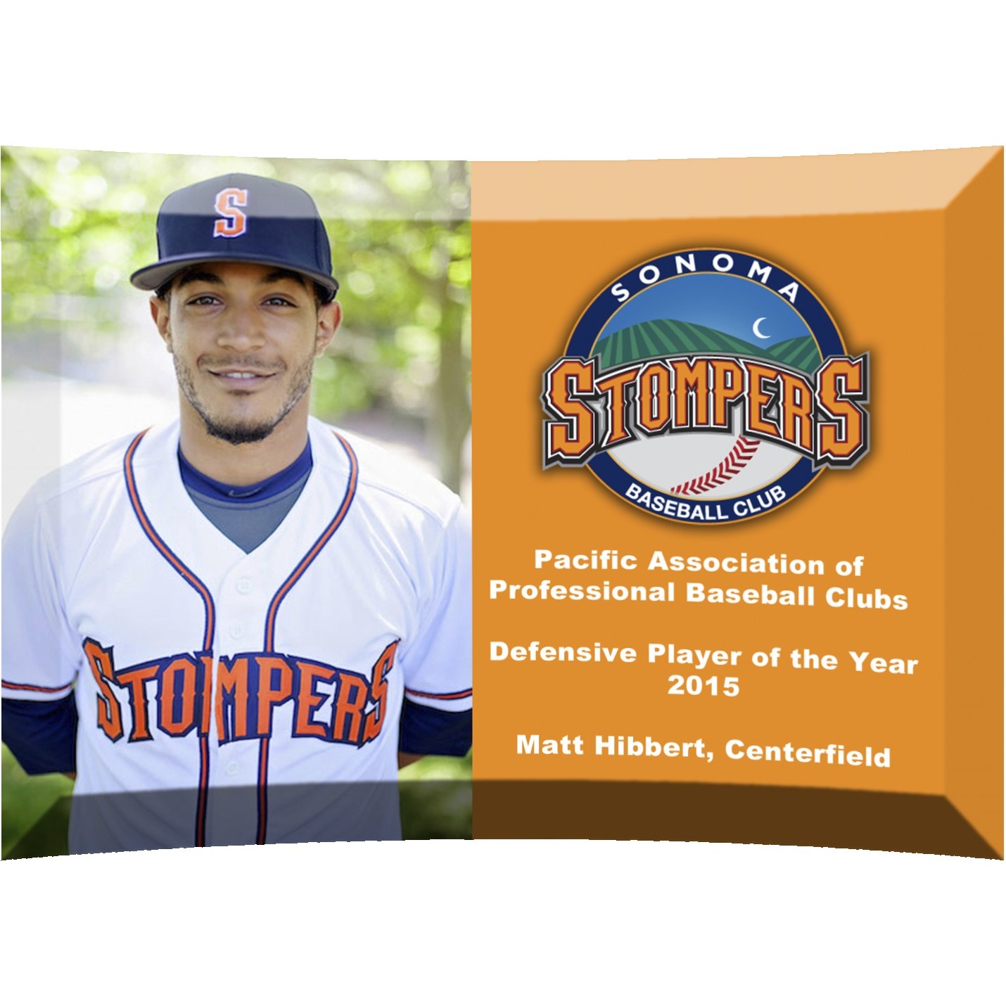 Curved Award Sublimated (8" x 6")