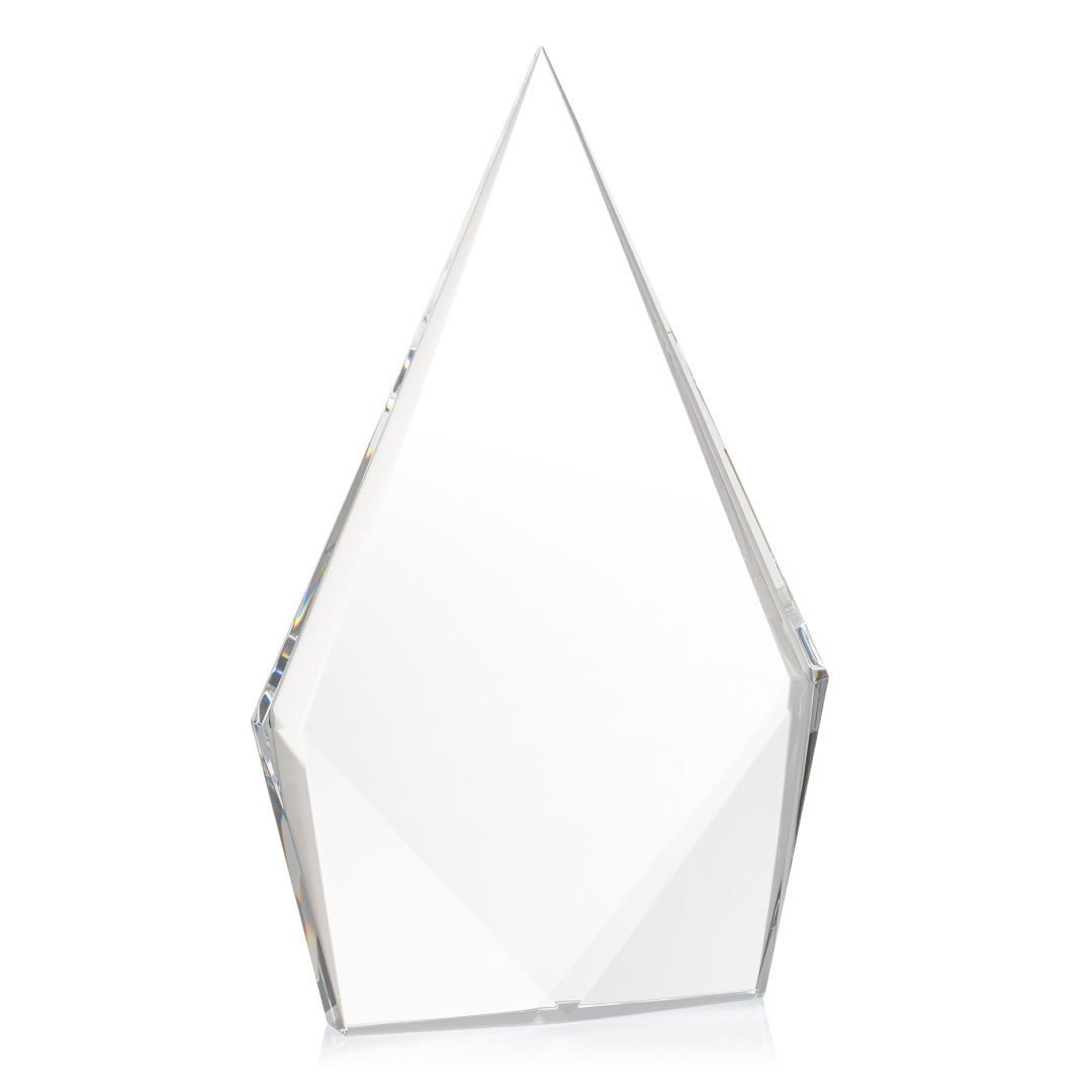 Shelton Award - Clear 17