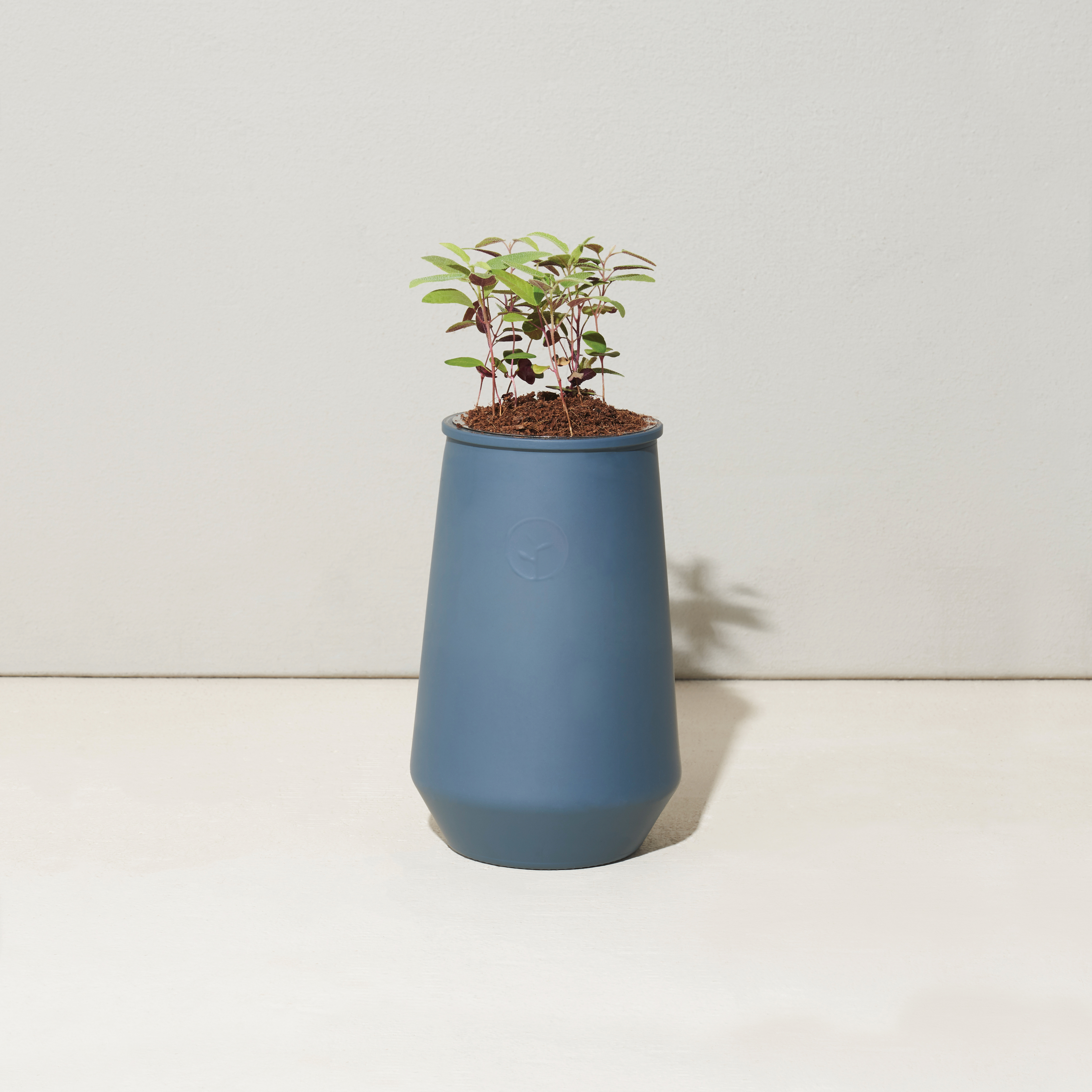 Modern Sprout® Tapered Tumbler Grow Kit 21