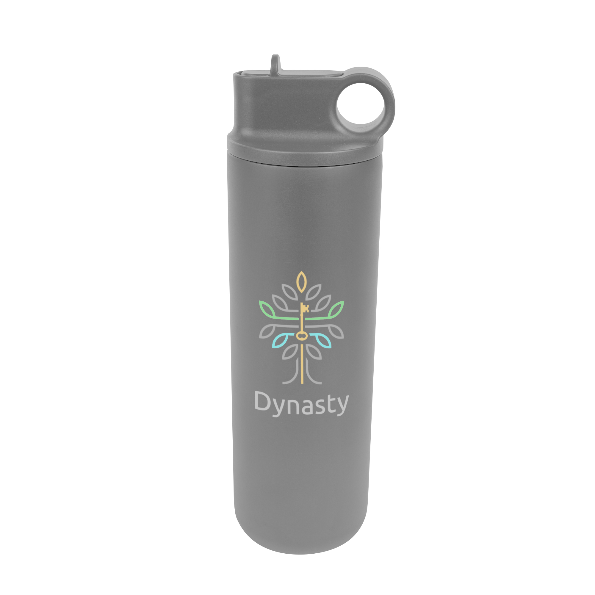 27 Oz. Roanoke Stainless Steel Bottle