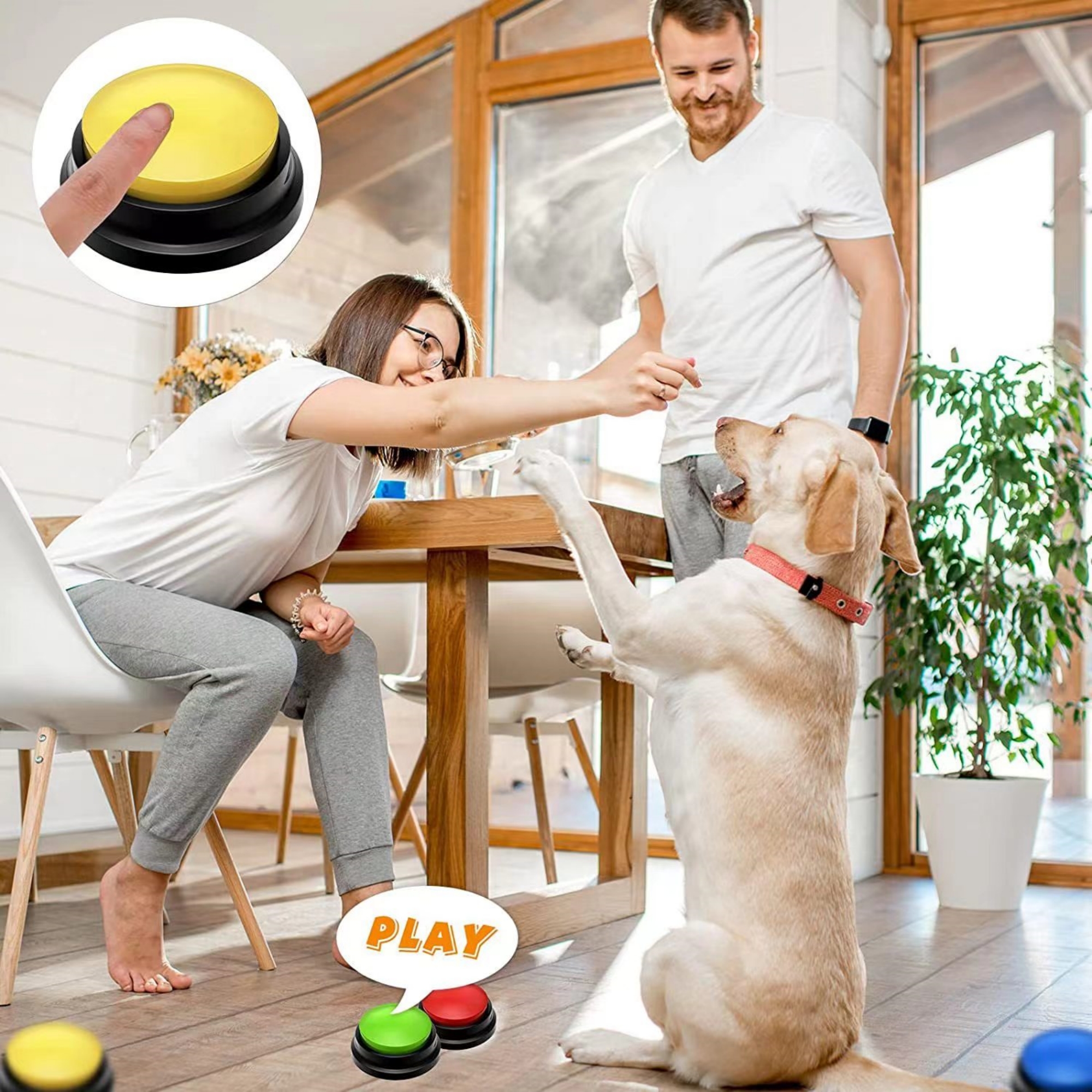 Dog Training Buzzer 5