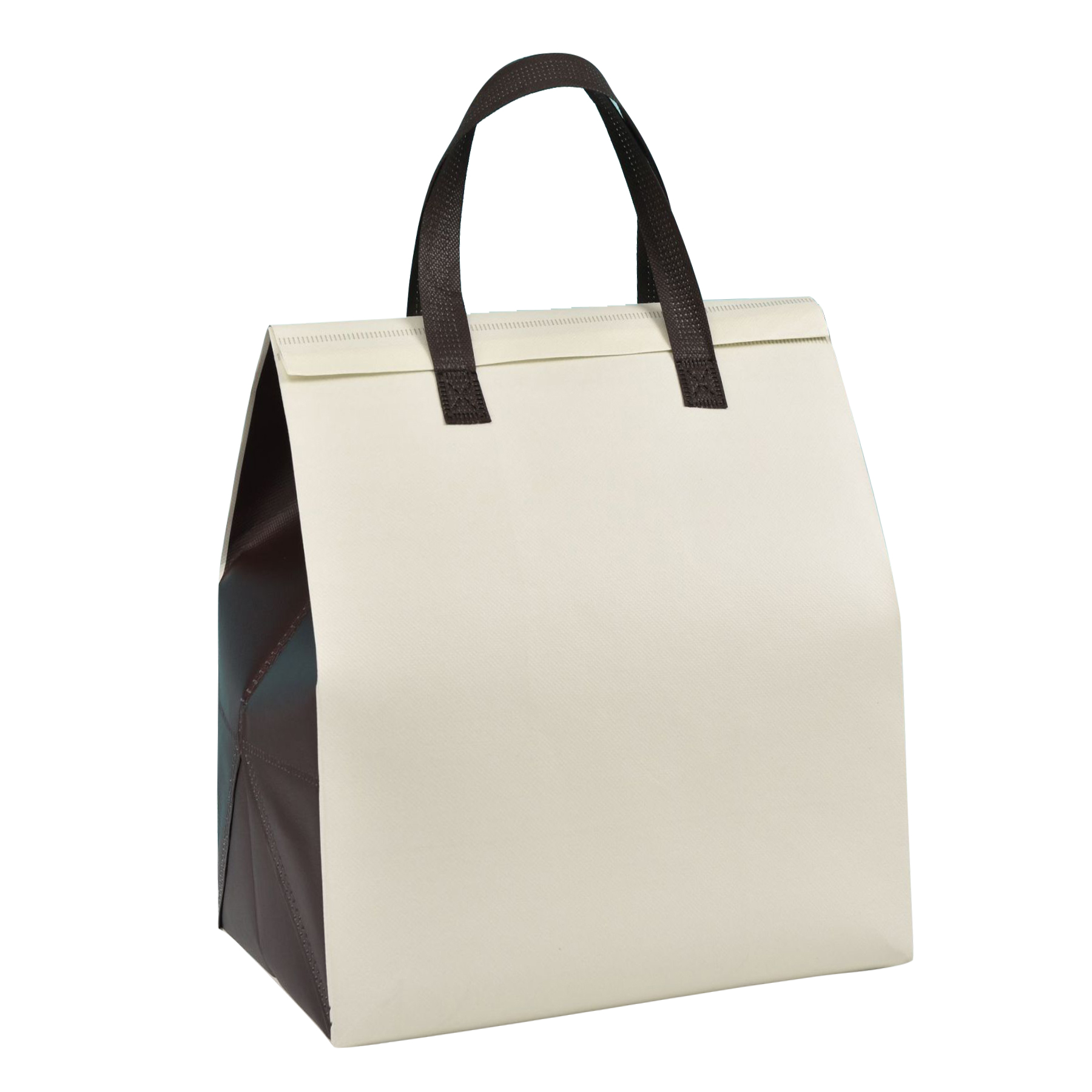 Aluminum Foil Insulated Bag 1
