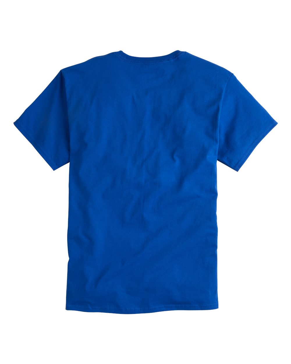 Unisex Classic T-Shirt - T425 224