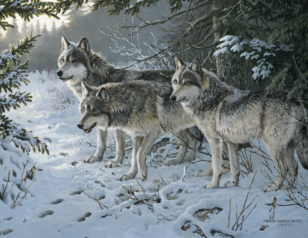 Triumph® Calendars Wildlife Art Calendar 21