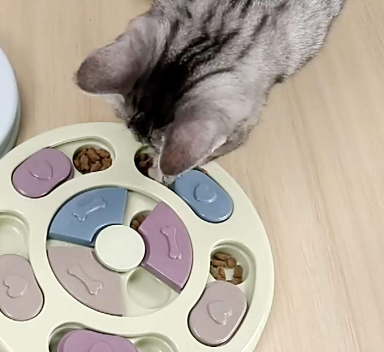 Dog Treat Puzzle 5