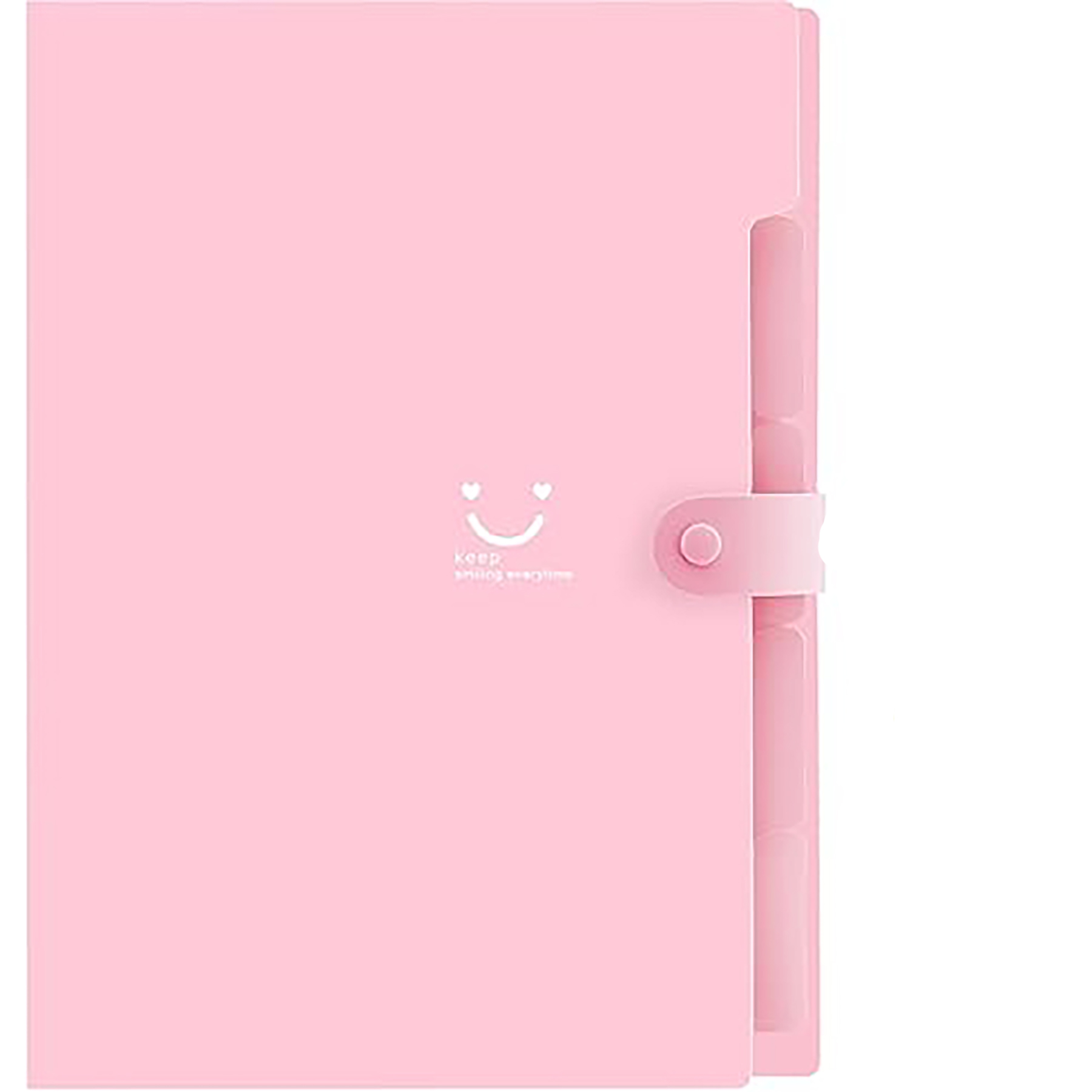 File Organizer with Labels 5