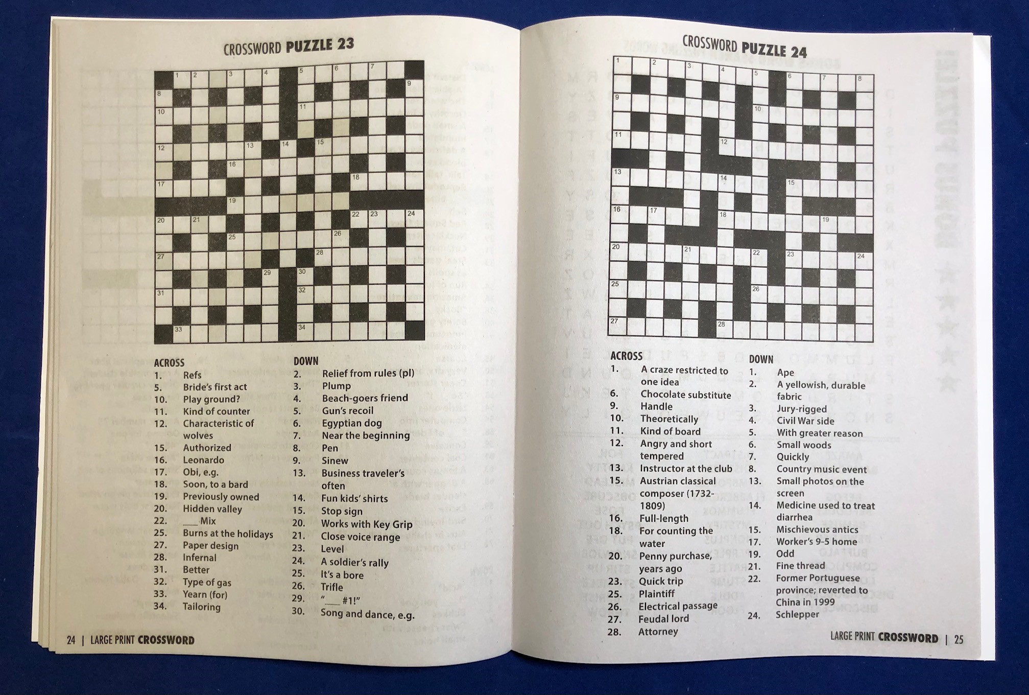 PUZZLE BOOK - LARGE PRINT Crossword Puzzle Book - Volume 1 3