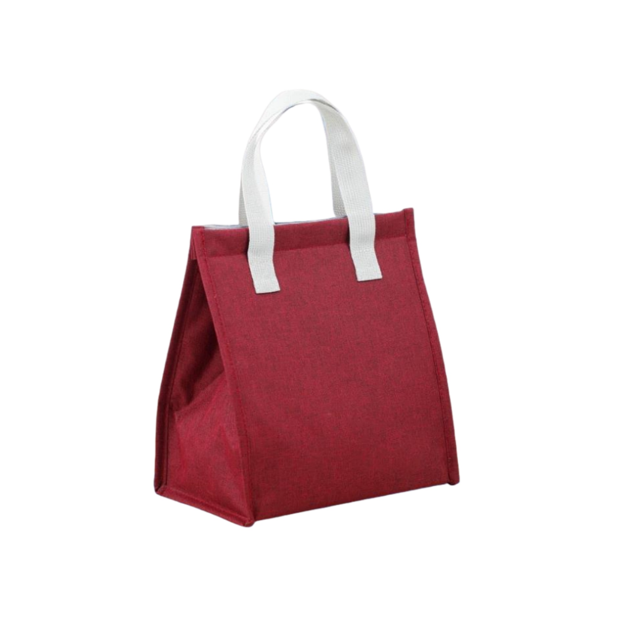 Reusable Thermal Cooler Bag 5