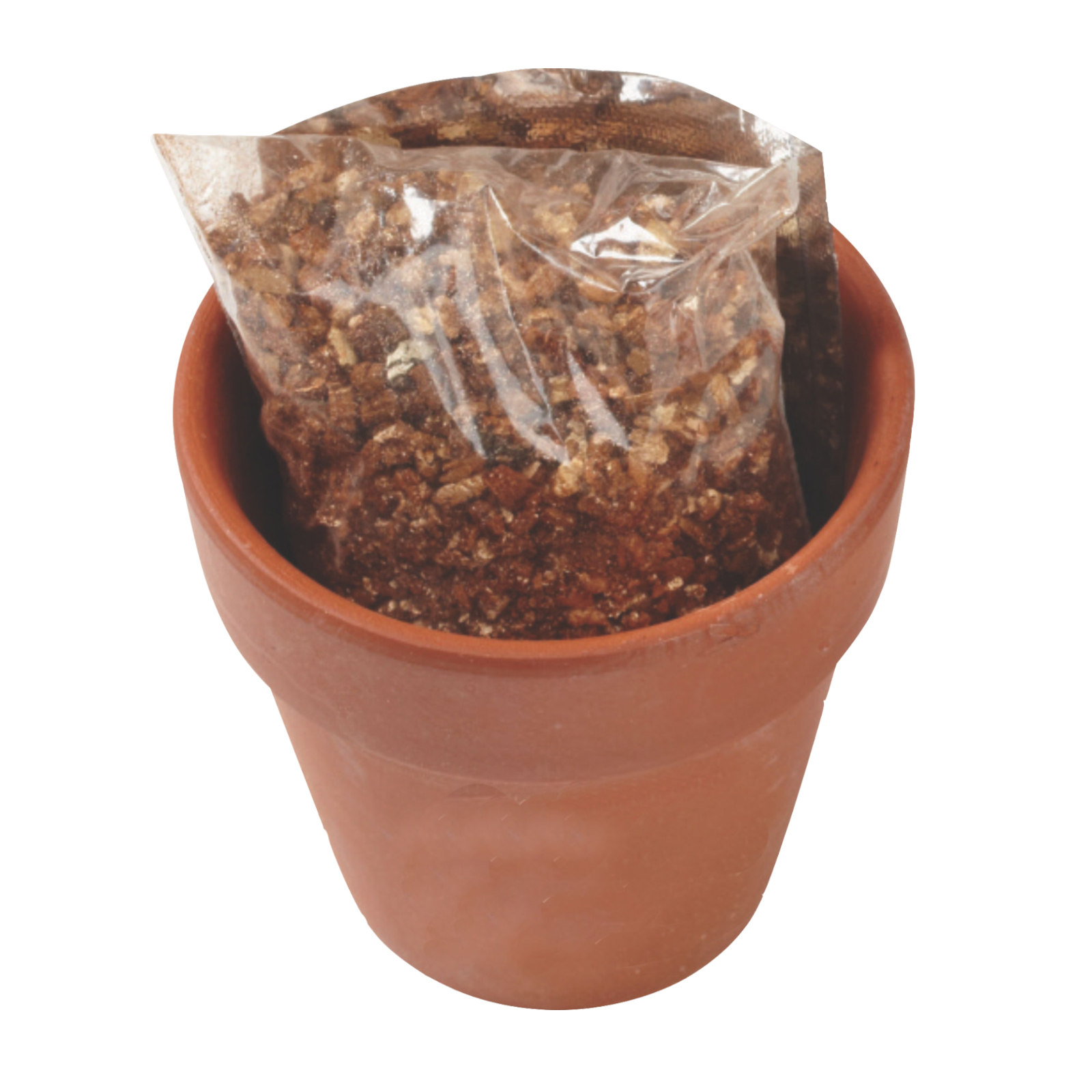 Seed Sensations Terracotta Pot w/Holiday Wrapper 4