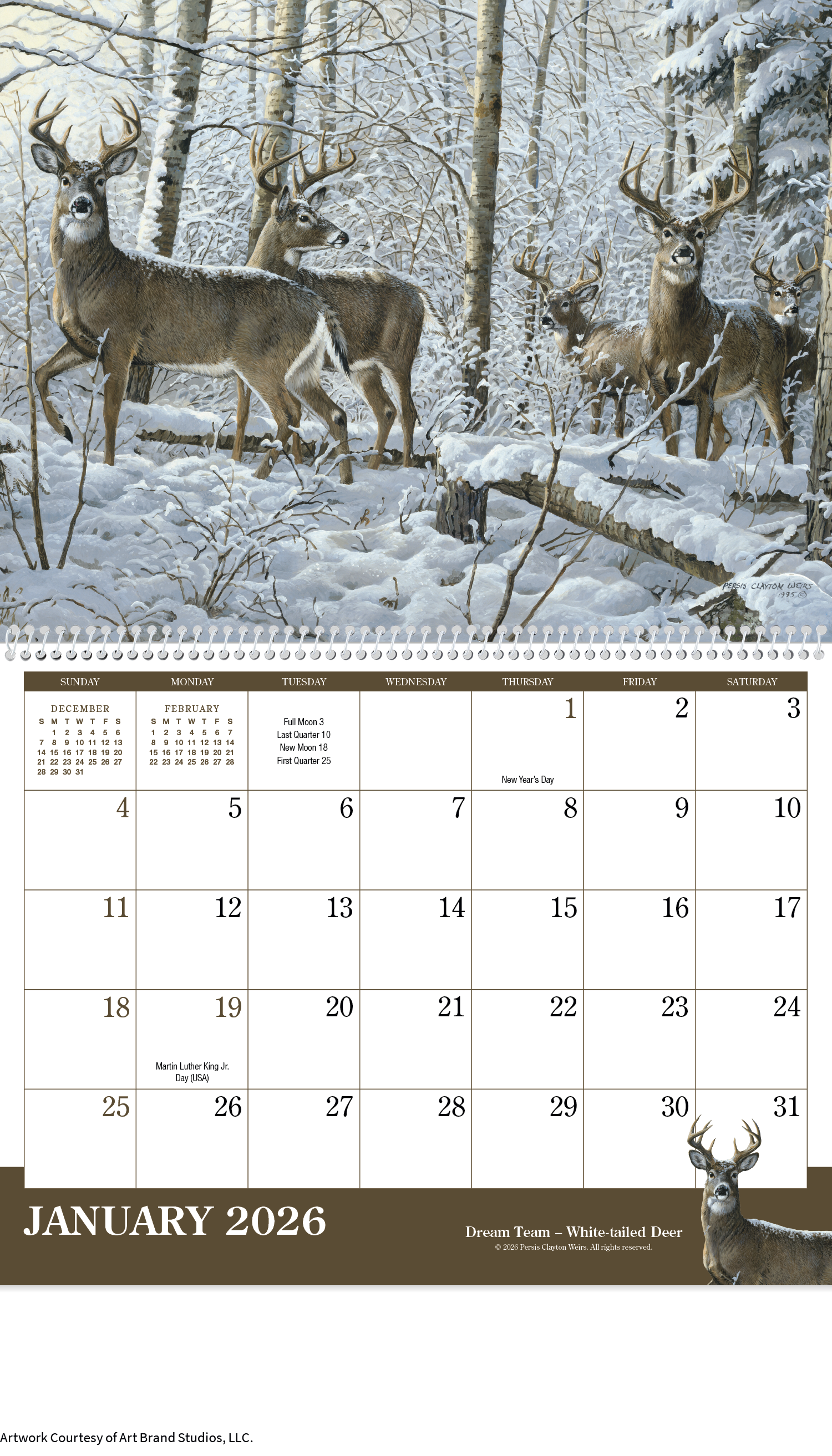 Triumph® Calendars Wildlife Art Calendar 15