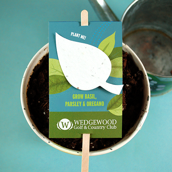 Double-Sided Herb Planting Sticks 6