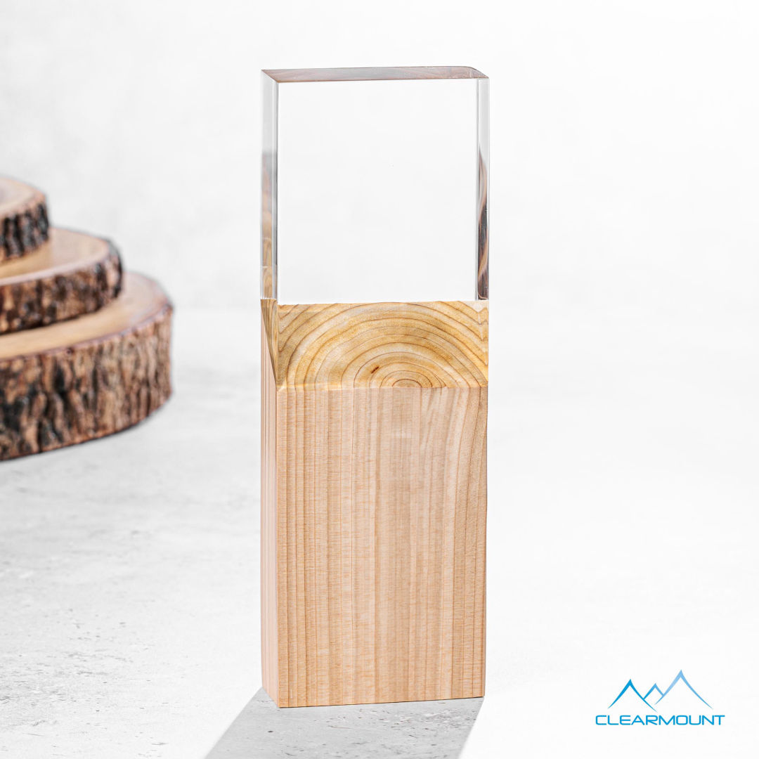 Plante Award 9