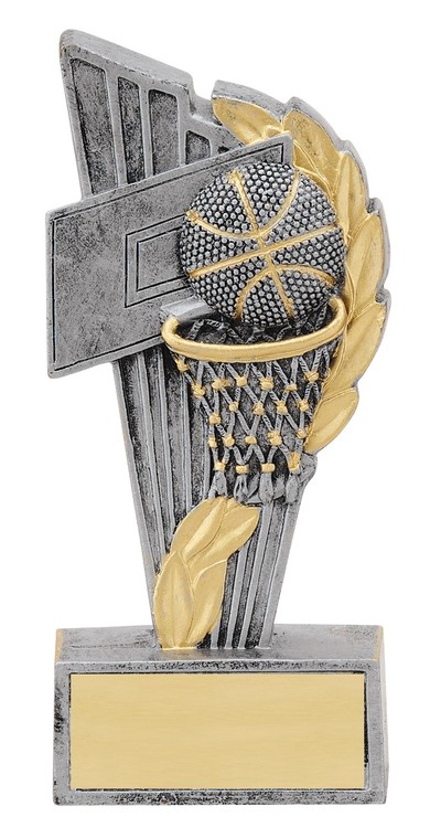 Basketball Theme Award 2