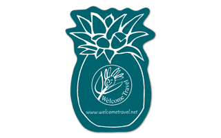Pineapple Vinyl Jar Opener 13