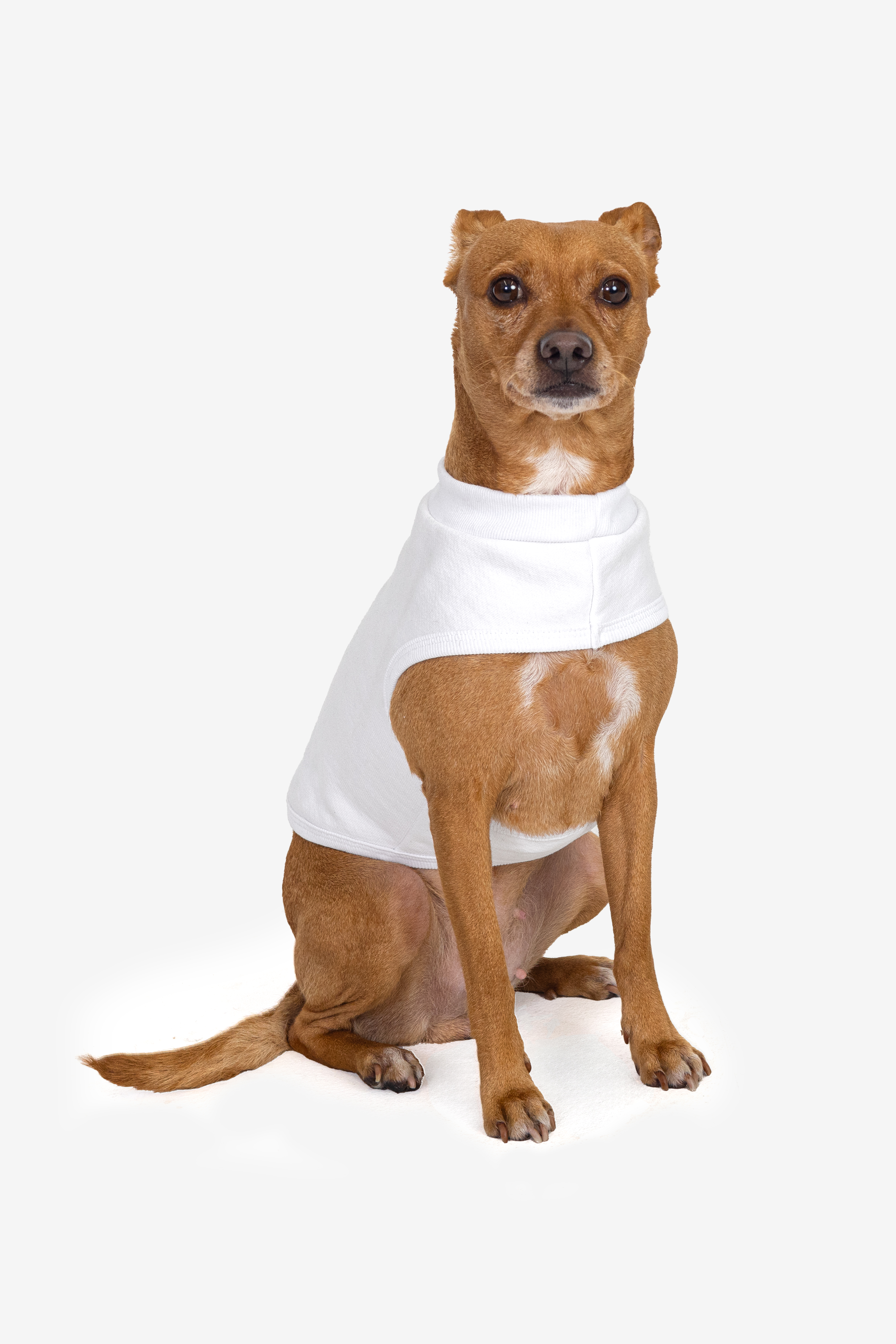HEAVY FLEECE FLEECE DOG VEST 8