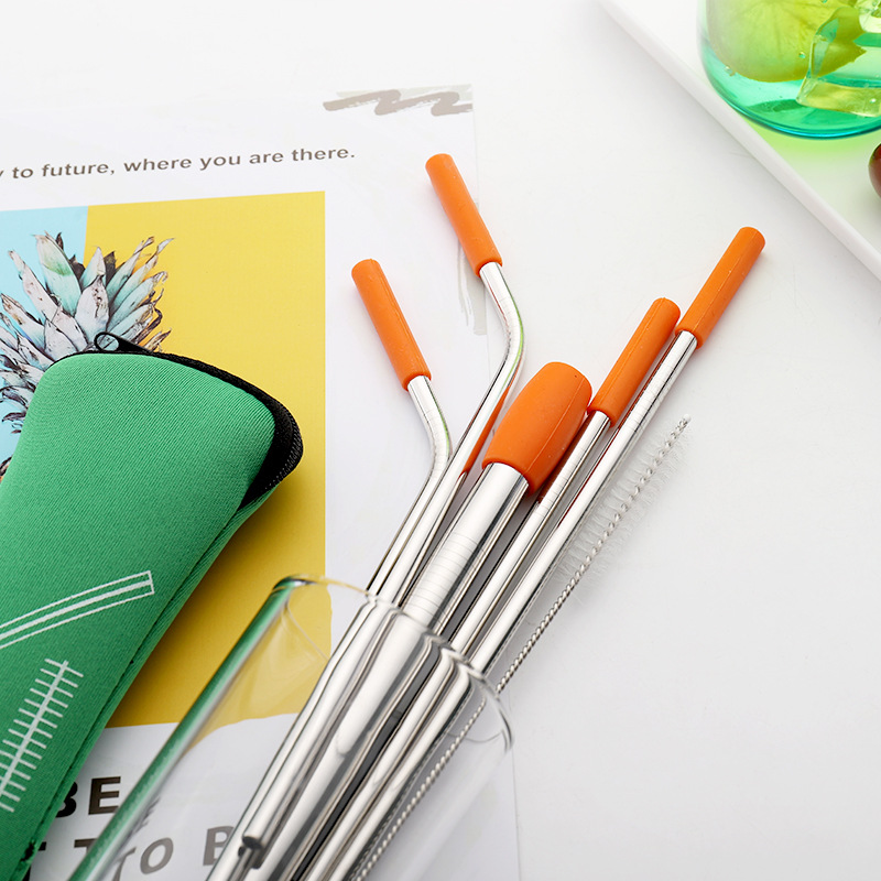 Reusable Metal Straws With Silicone Tips and Brush and Carry Bag 3
