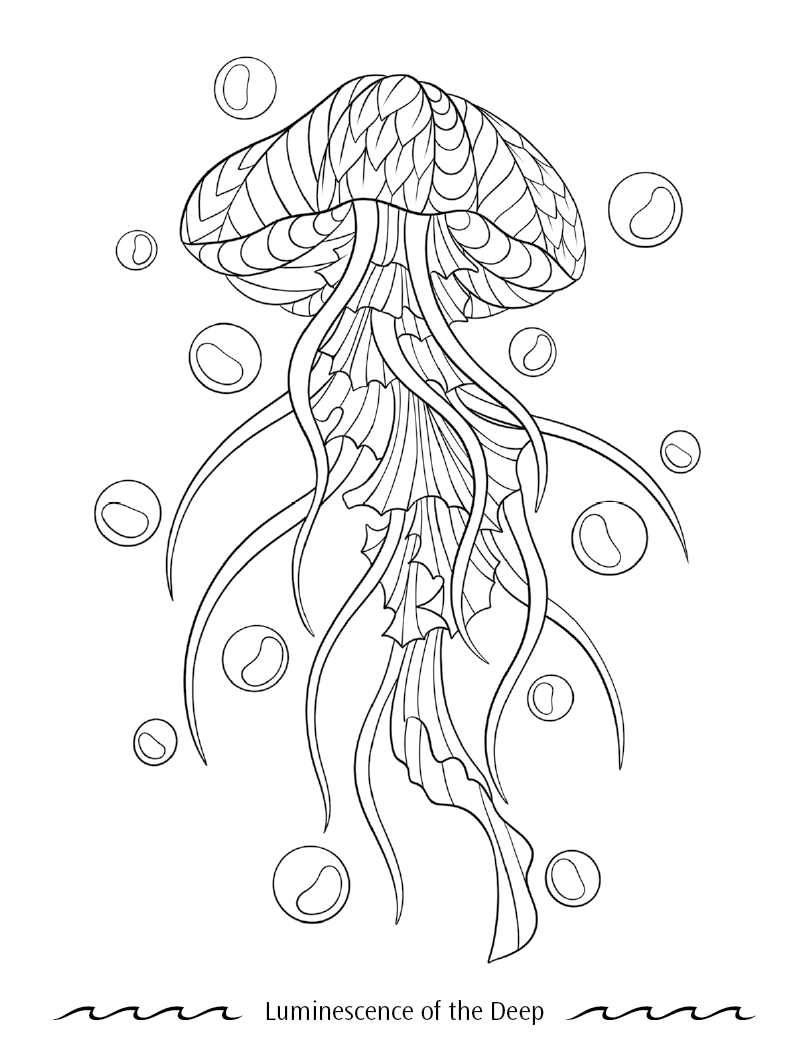 Good Value™ Oceans of Serenity Adult Coloring Book 2
