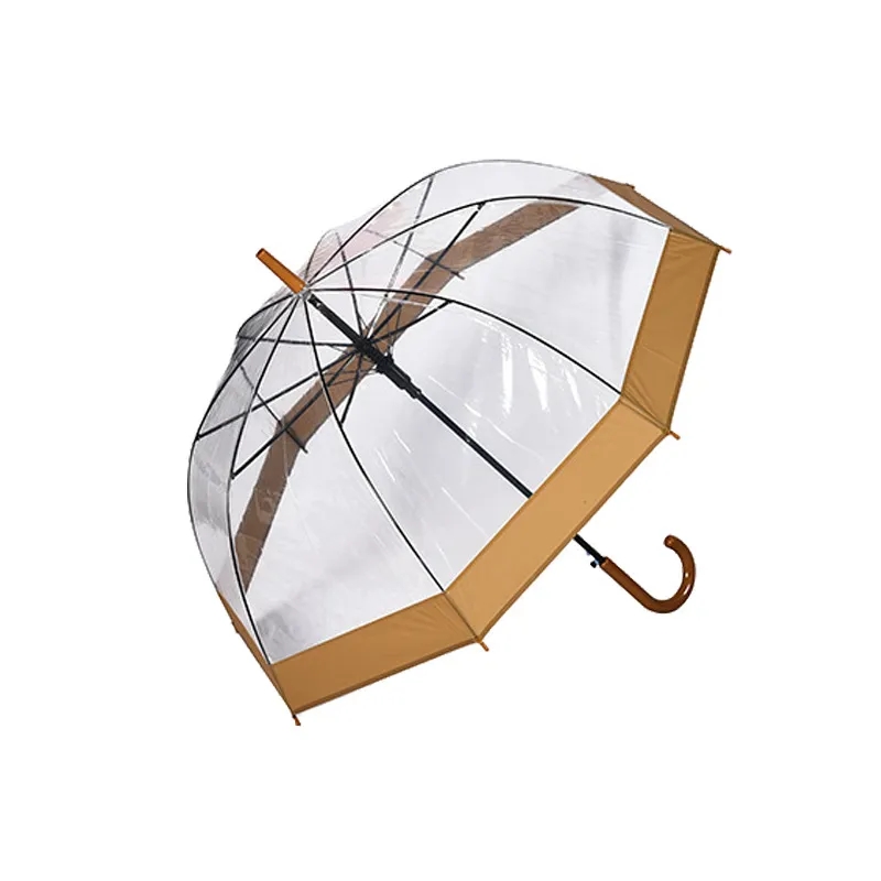 Clear and Transparent Umbrella 8