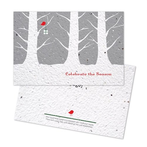 Seed Paper Postcard 1