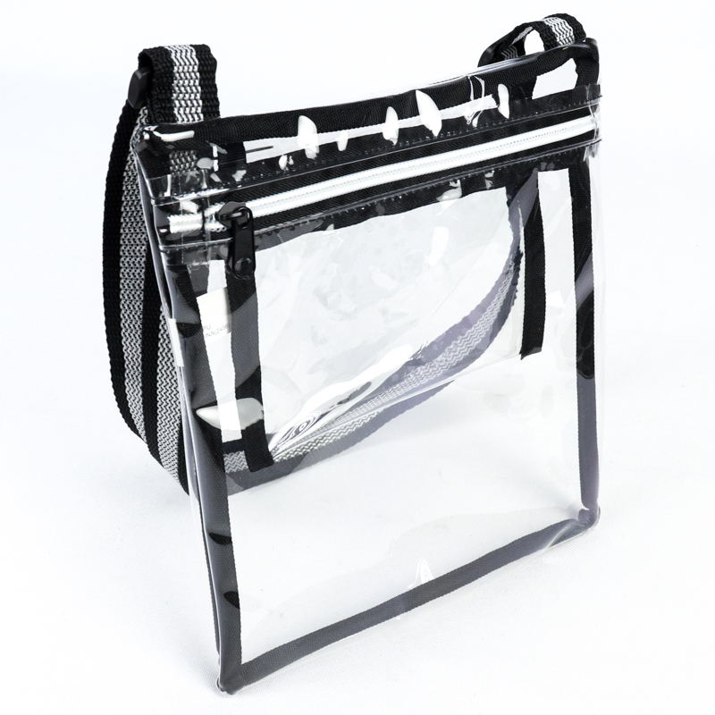 Eco Friendly Clear Purse/ Satchel 3