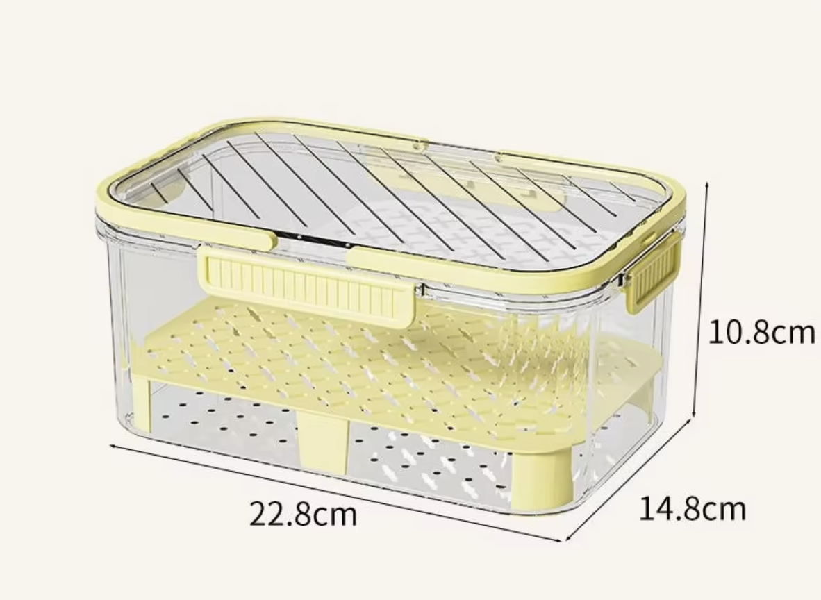 Transparent Outdoor Camping Picnic Fruit Box 3