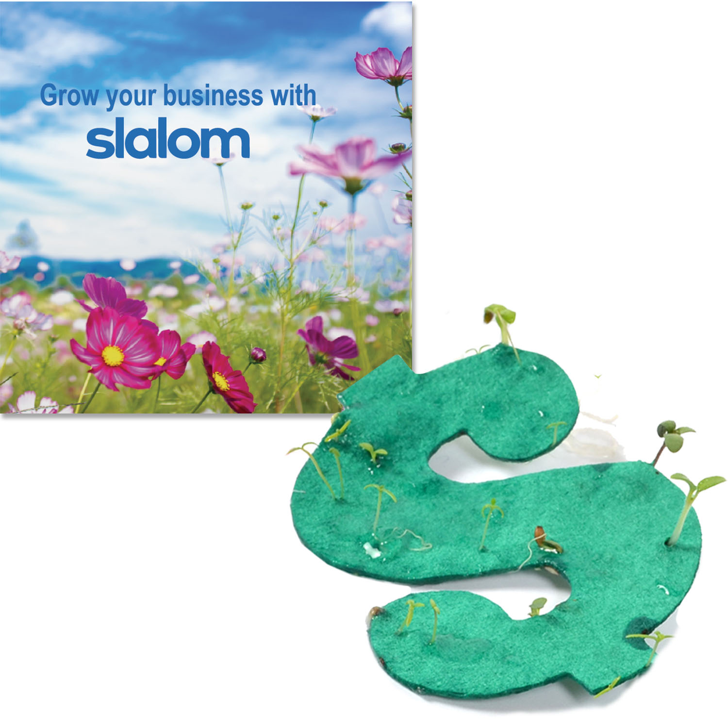Seeded Paper Packet 5