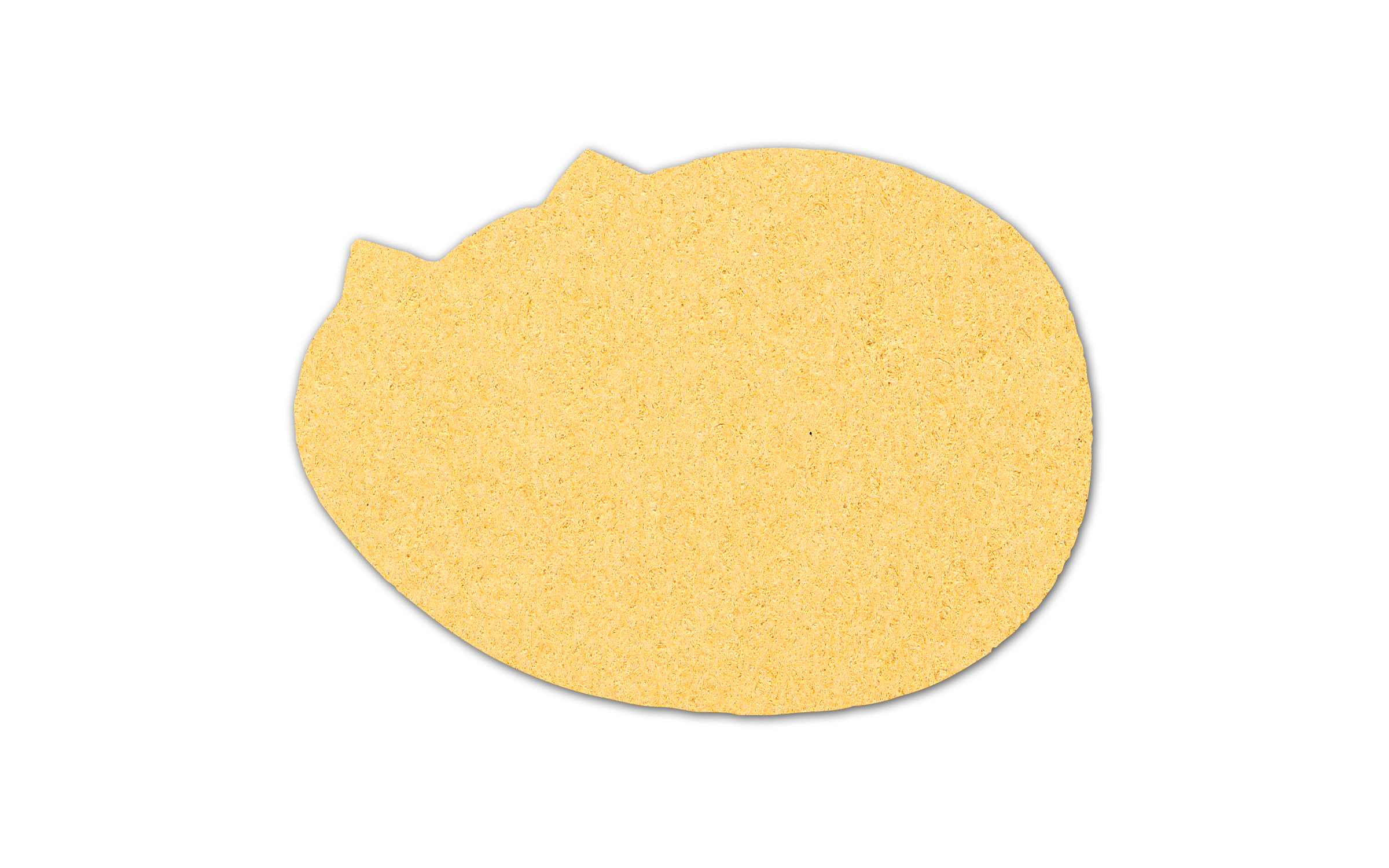 Painter Pallet Compressed Sponge 5