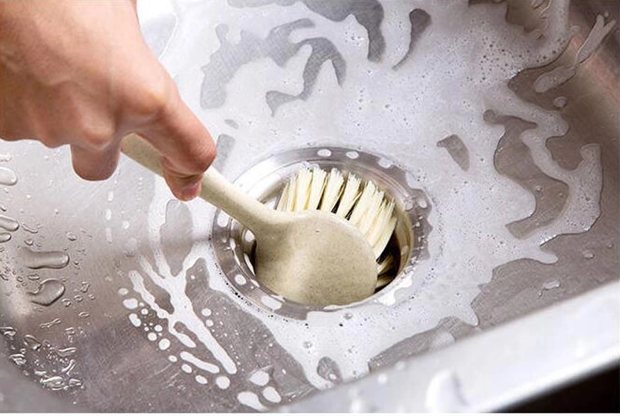 Kitchen Scrub Brush 2