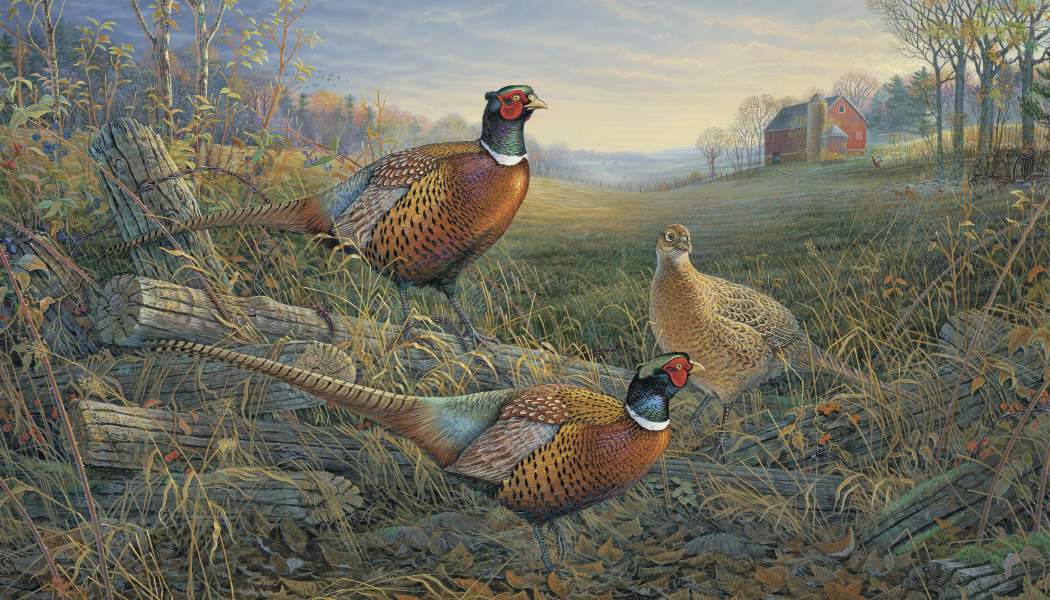 Triumph® Calendars Wildlife Art Calendar 15