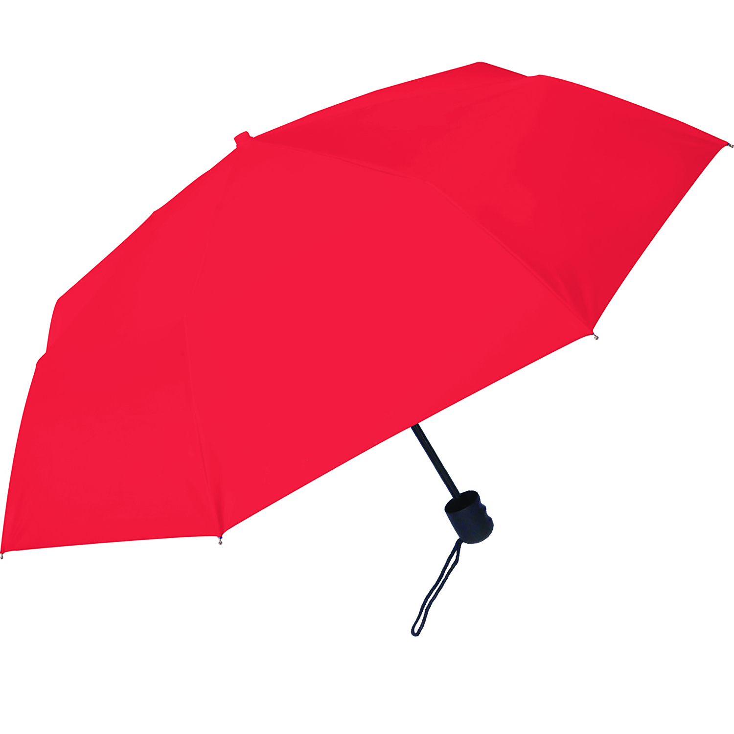 Classic Mini Umbrella 2