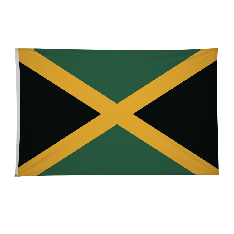 5' x 8' International Flags 64