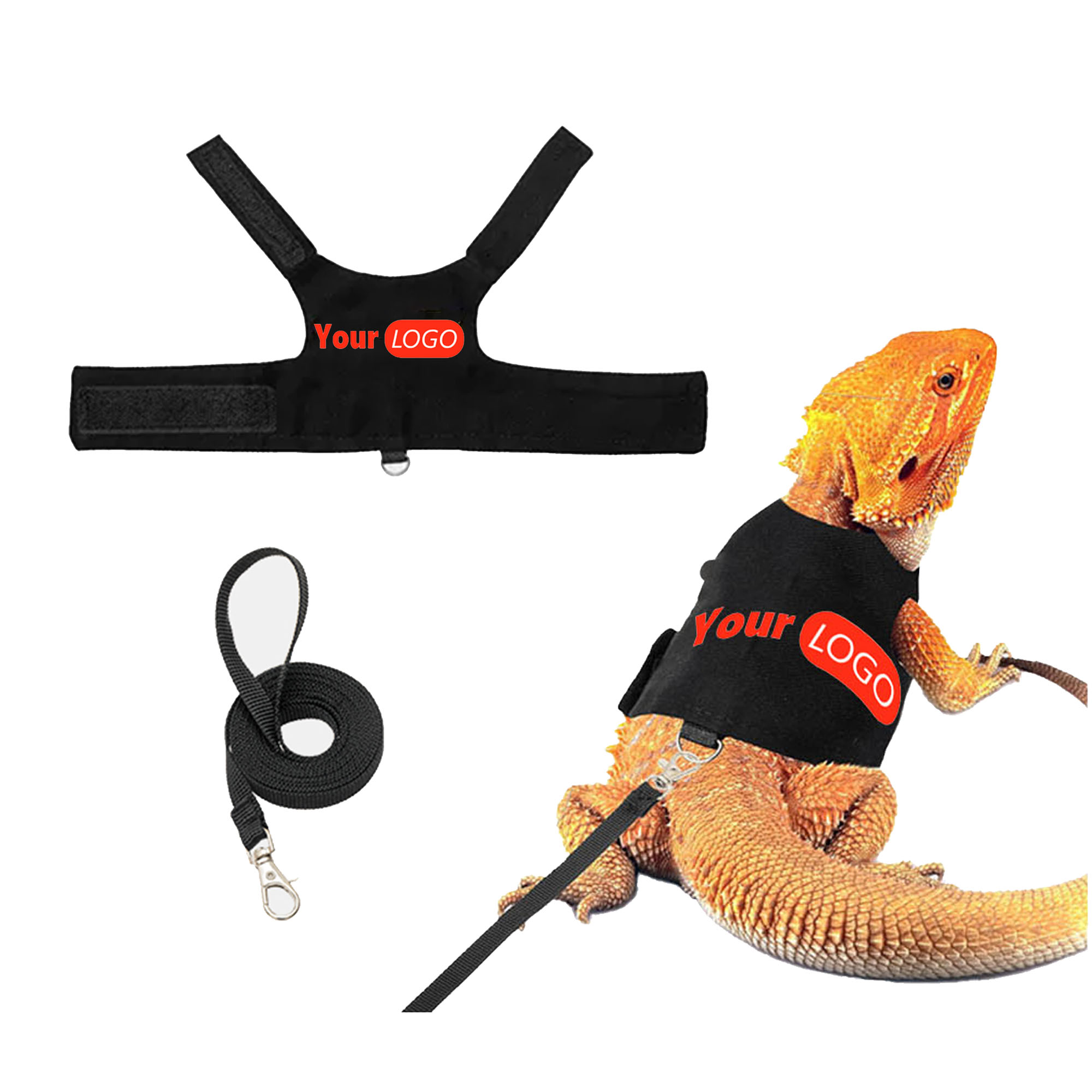 Adjustable Lizard Leash 3