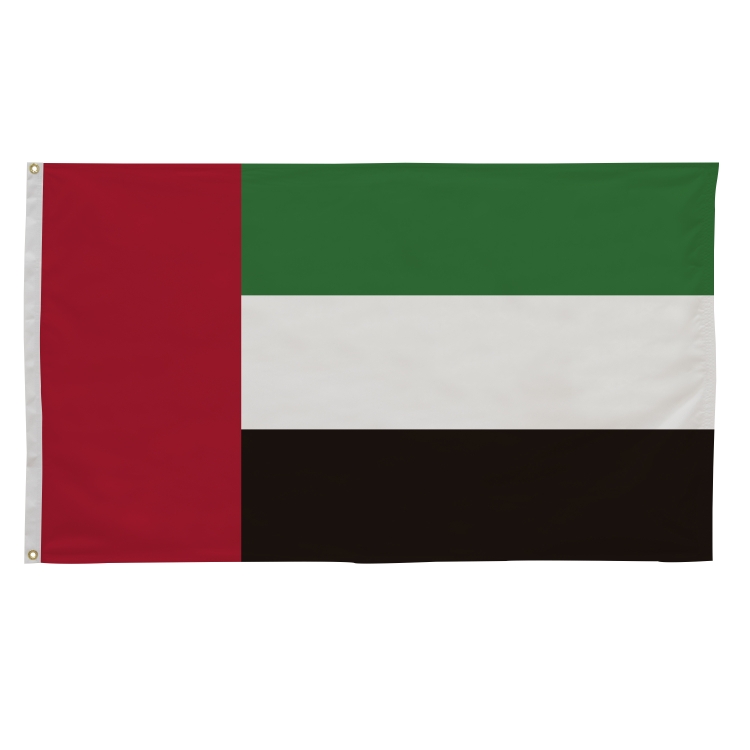 3' x 5' International Flags 238