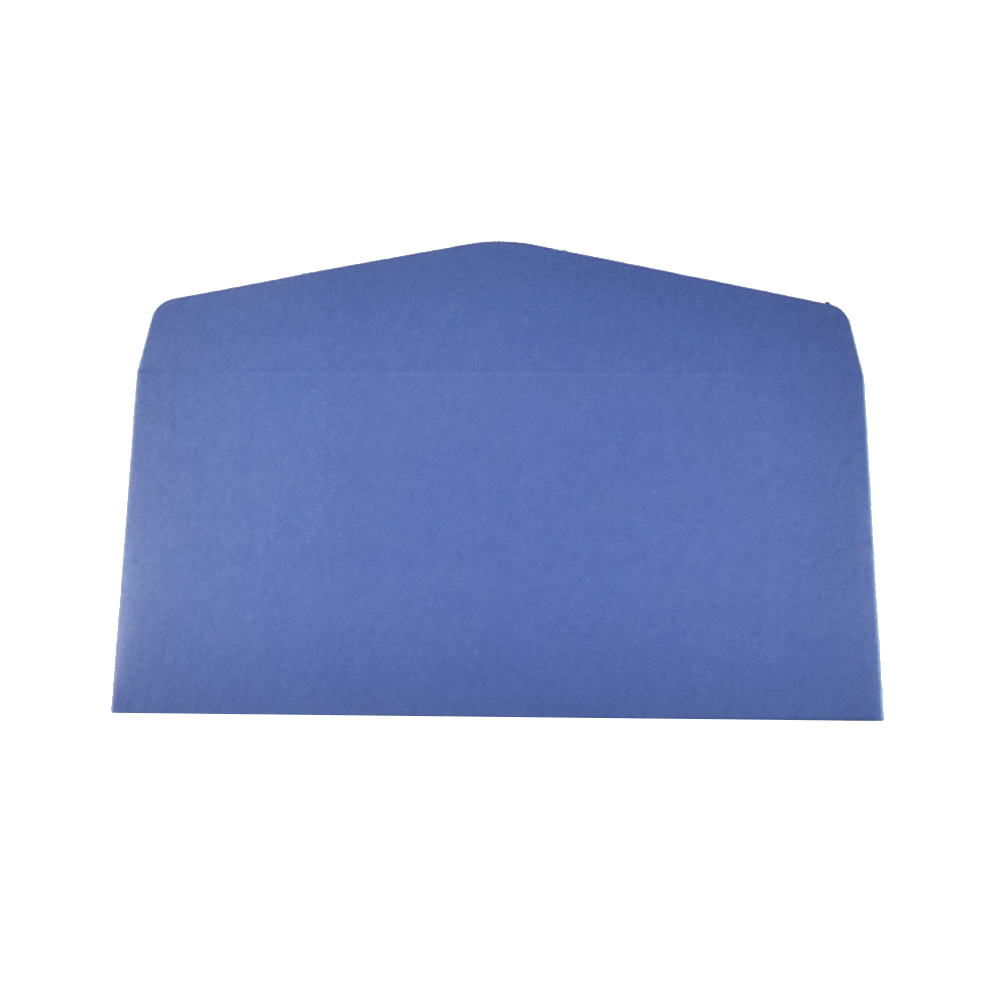 Premium Business Gold-Stamped Envelope 3