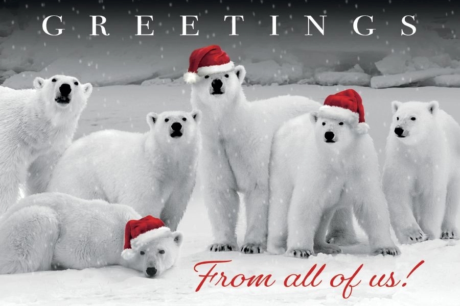 Polar Pack Holiday Postcards 2